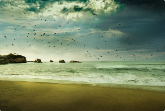 Warum Biarritz? staticContent:seoTemplage.image Warum Biarritz? staticContent:seoTemplage.image