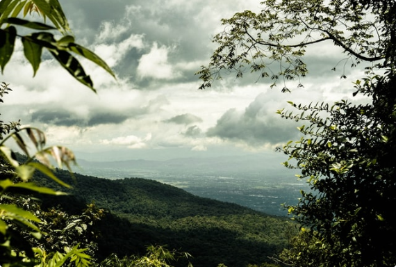 Warum Chiang Mai? staticContent:seoTemplage.image Warum Chiang Mai? staticContent:seoTemplage.image