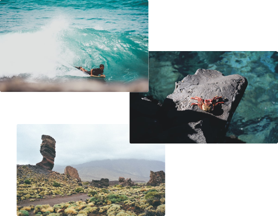 Warum Teneriffa? staticContent:seoTemplage.image Warum Teneriffa? staticContent:seoTemplage.image