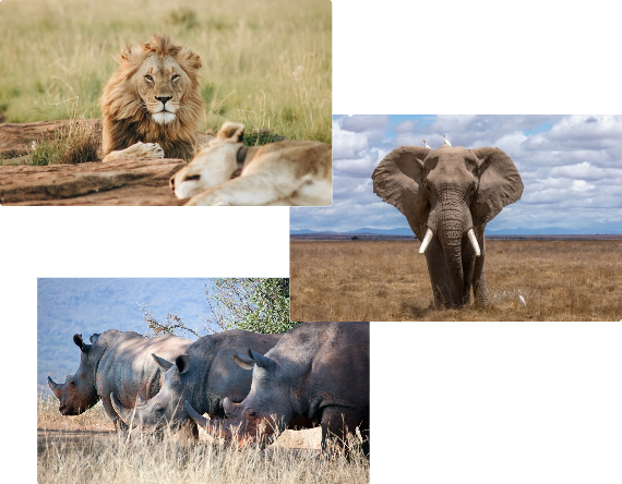 Warum Südafrika? staticContent:seoTemplage.image Warum Südafrika? staticContent:seoTemplage.image