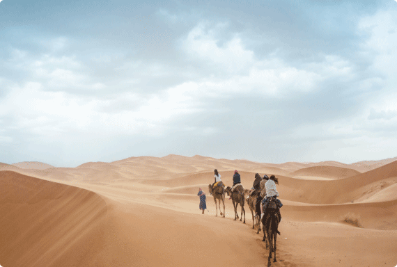 Warum Arabisch? staticContent:seoTemplage.image Warum Arabisch? staticContent:seoTemplage.image
