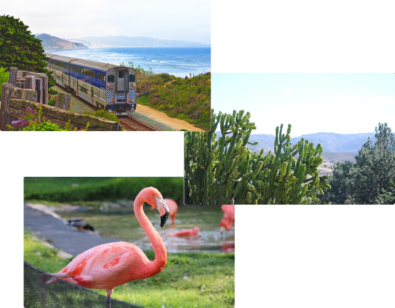 Warum San Diego? staticContent:seoTemplage.image Warum San Diego? staticContent:seoTemplage.image