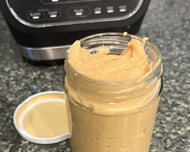 Ninja Foodi Blender and Soup Maker review Daily Mail