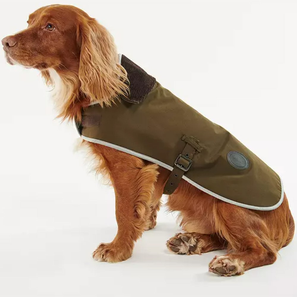 debenhams dog coat