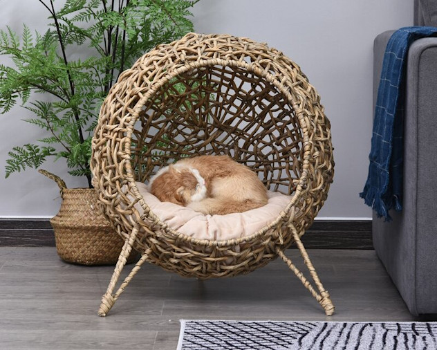 Aldi launches an egg chair just for cats Daily Mail