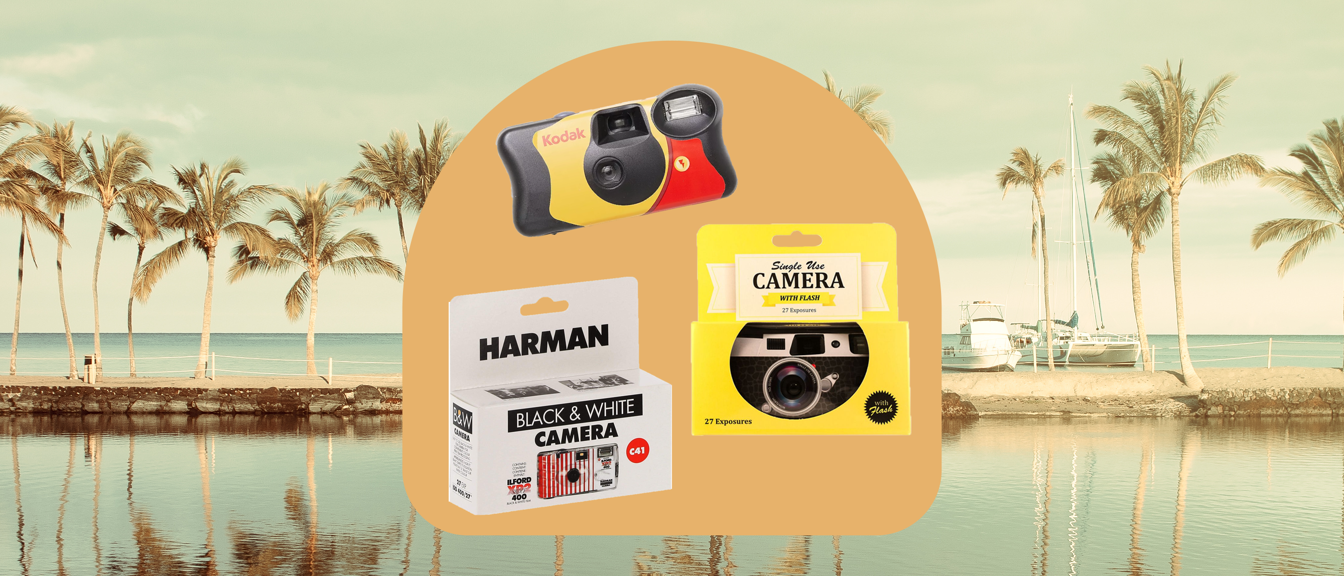 App Turns Your iPhone Into a Crappy Disposable Camera (And That's a Good  Thing)