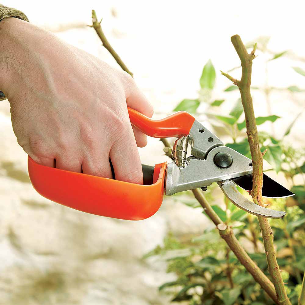 Sleek Garden Hand Pruner Professional Sharp Bypass EZ-Cut Garden Pruning  Shears -Comfort Plus Handheld Gardening Tools Pruner,Rust Proof Blades