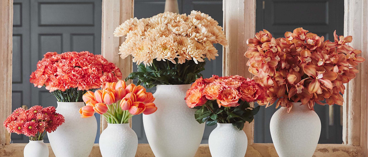 Lifestyle Top items, reviews and where to shop Daily Mail