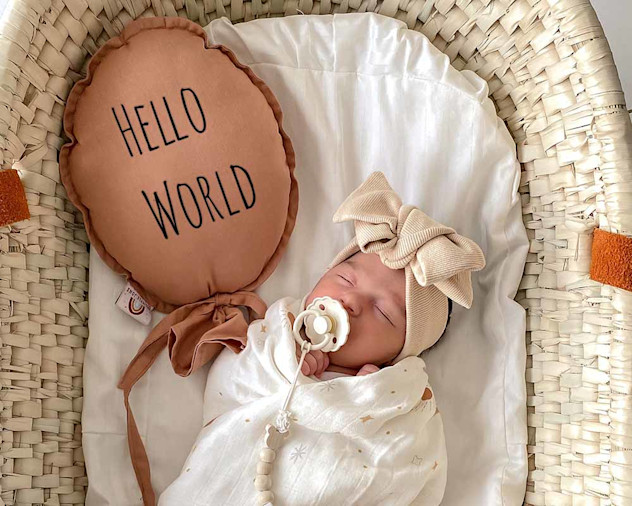 The best Moses baskets for new parents Daily Mail