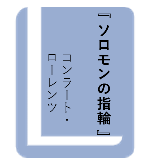 ソロモンの指輪