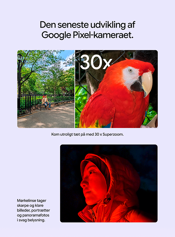 Kom helt tæt på med 30 x zoom med kameraet i Google Pixel 11