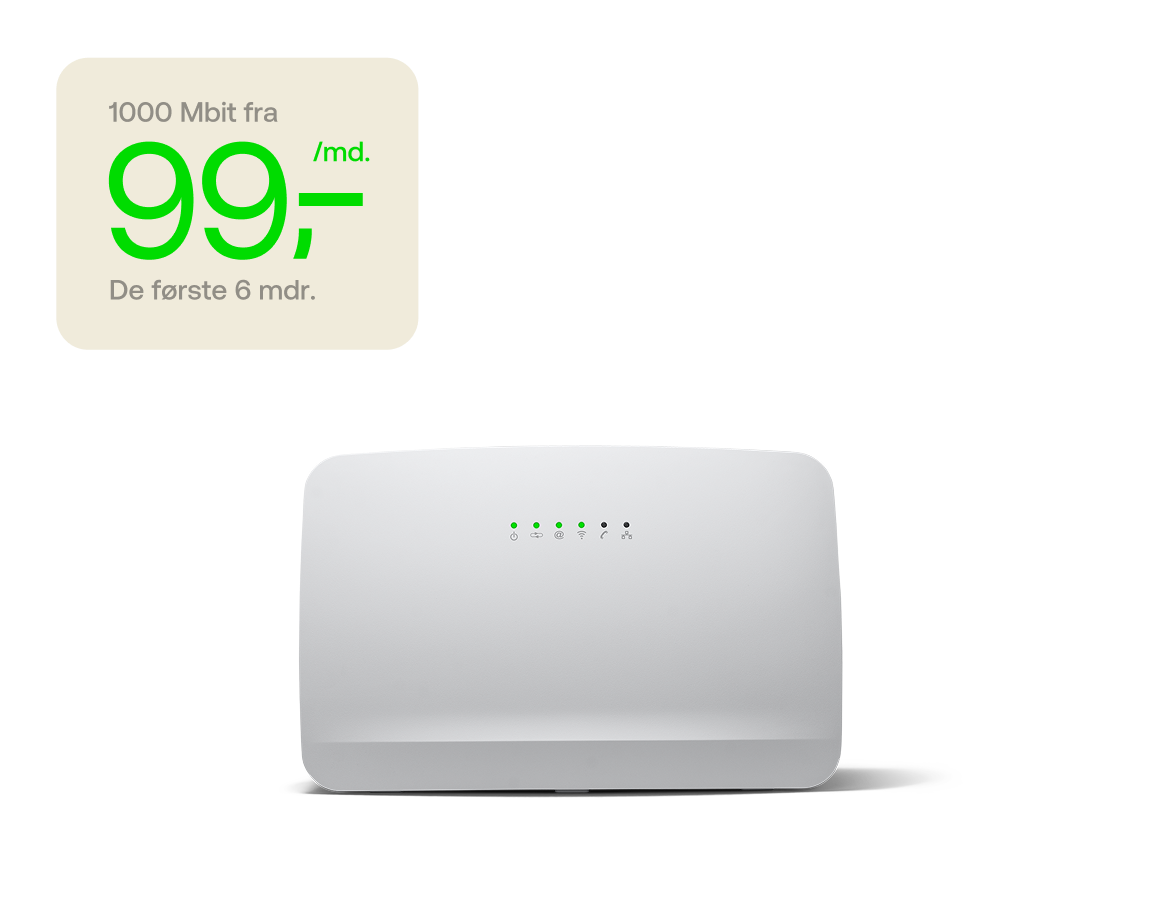 1000 Mbit fra 99 kr./md. de første 6 mdr.