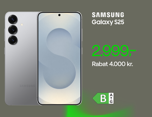 Samsung Galaxy S25