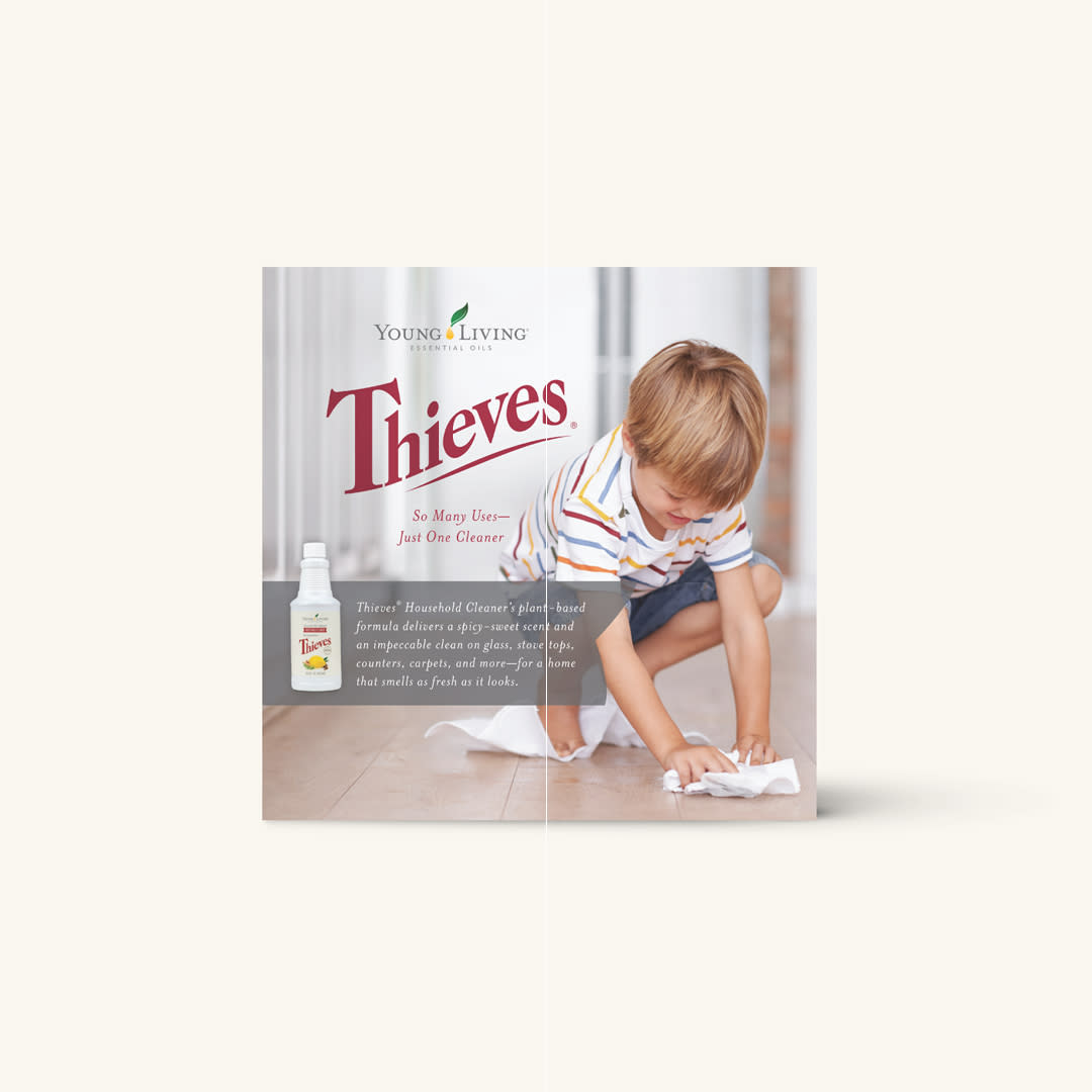 Thieves Cleaner Booklet