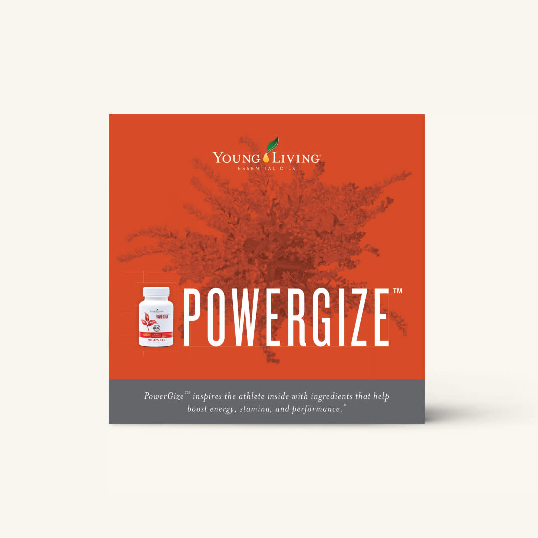 PowerGize Brochure