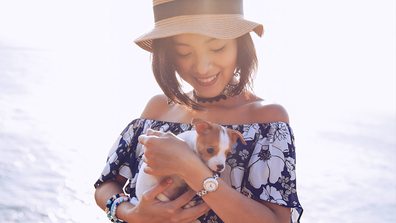 Are Humans More Valuable Than Animals? PragerU