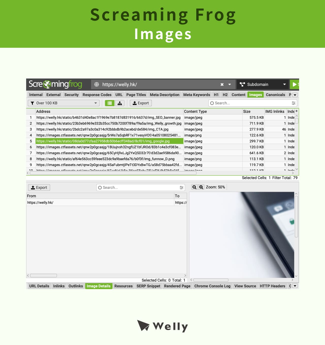 Screaming Frog Images