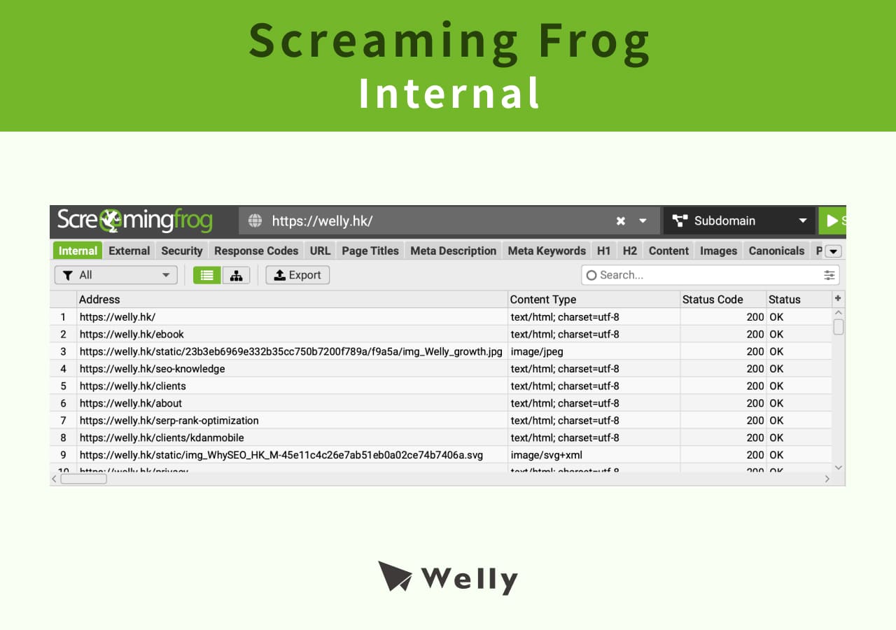 Screaming Frog Internal