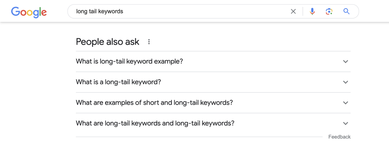 Google's People Also Ask Section for Long-Tail Keywords