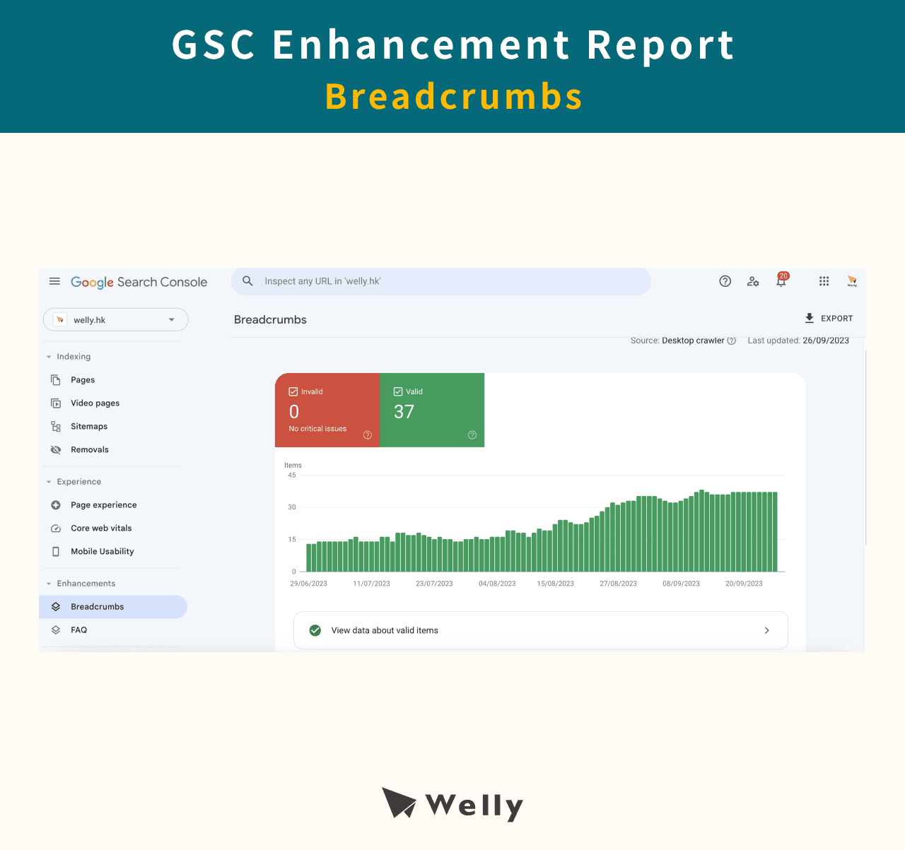 gsc enhancements report