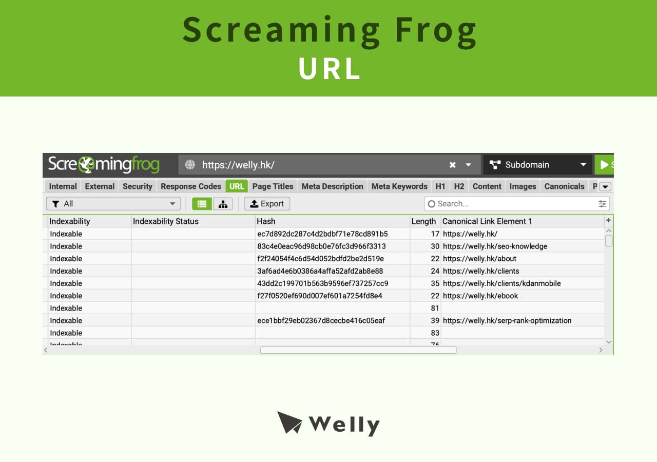 Screaming Frog URL