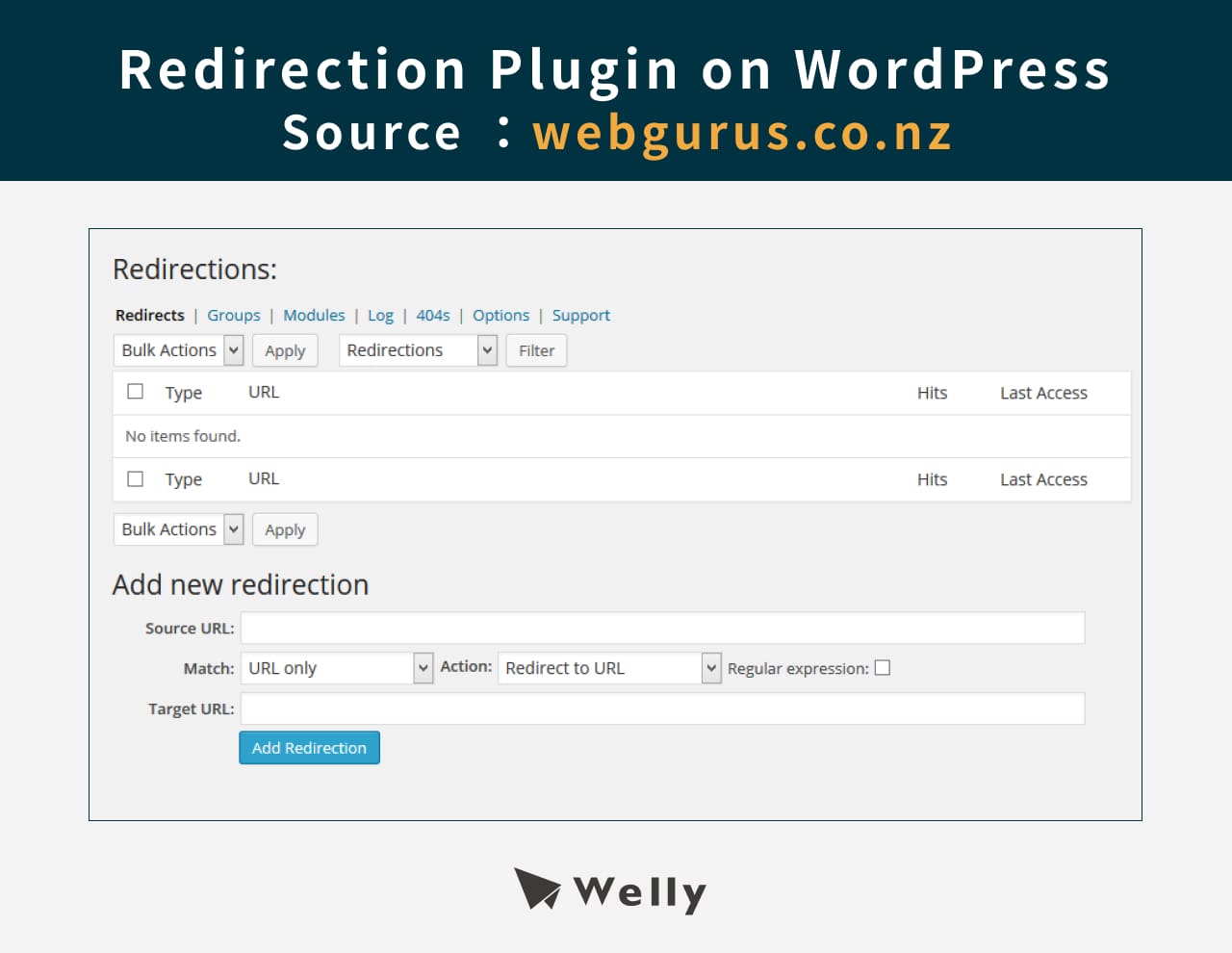 Redirection Plugin on WordPress