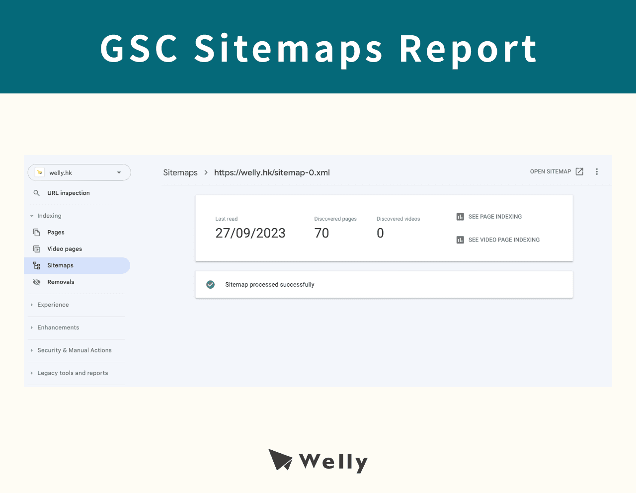 gsc sitemaps report
