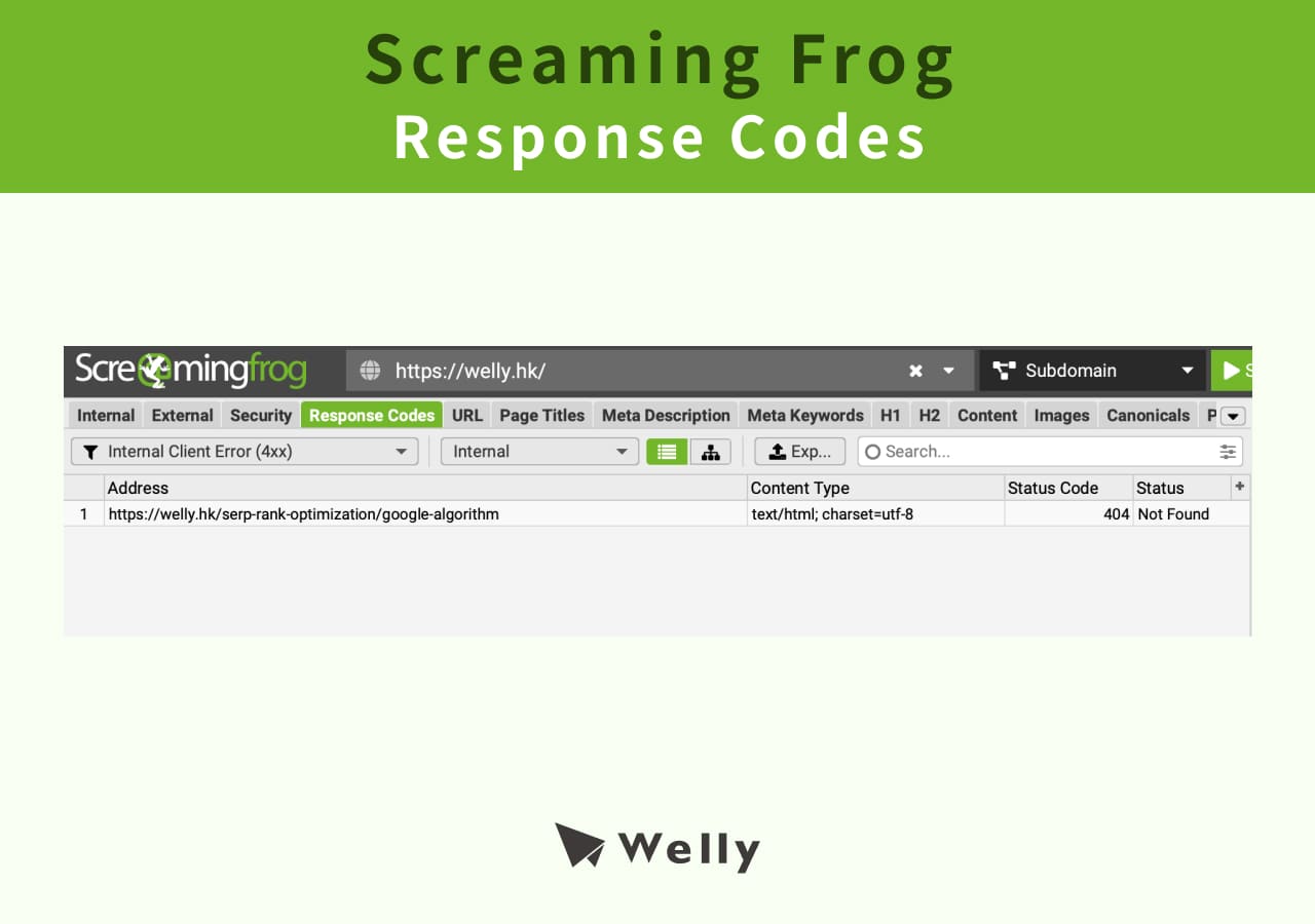Screaming Frog Response Codes