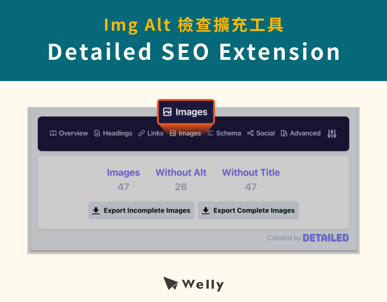 Img Alt檢查擴充工具：Detailed SEO Extension