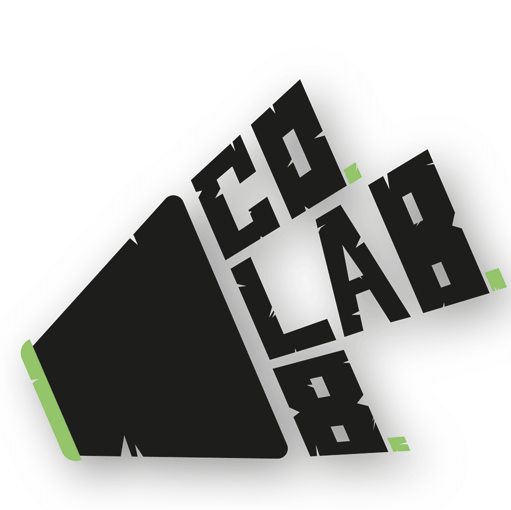 Co.Lab.8.