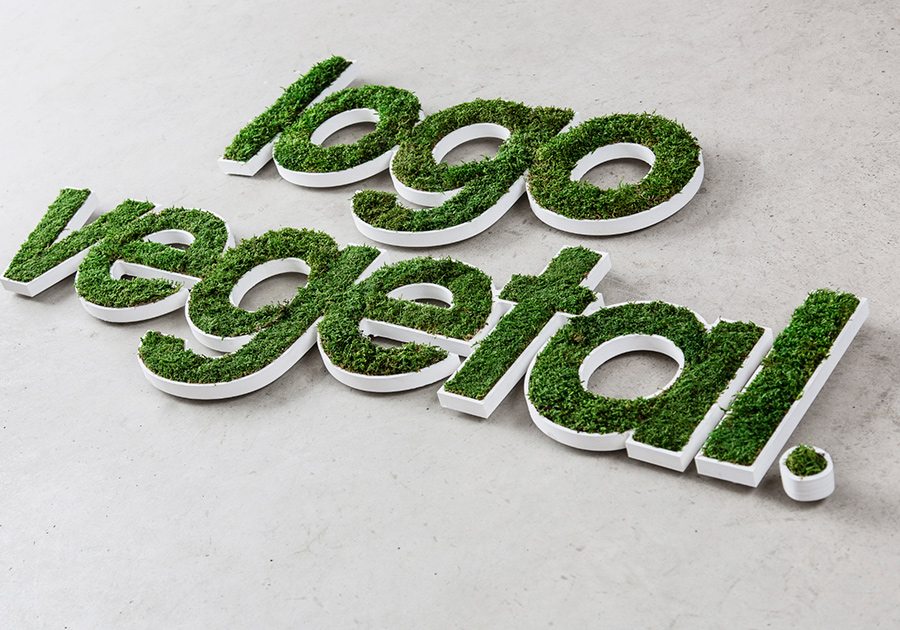 Letra y Logo vegetal musgo de bosque