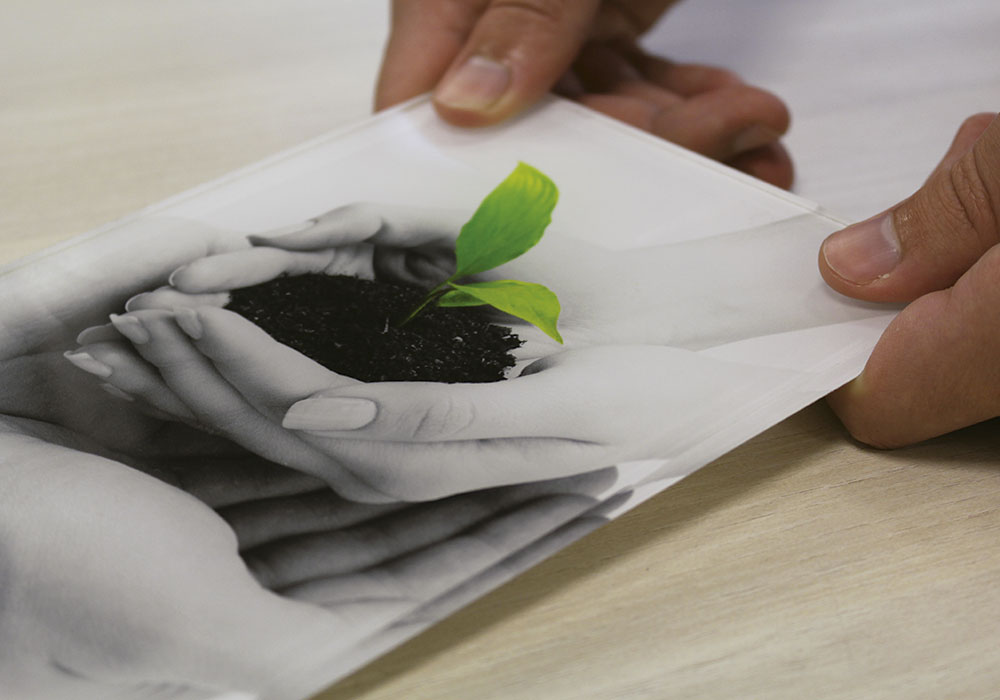 Placa plexi transparente