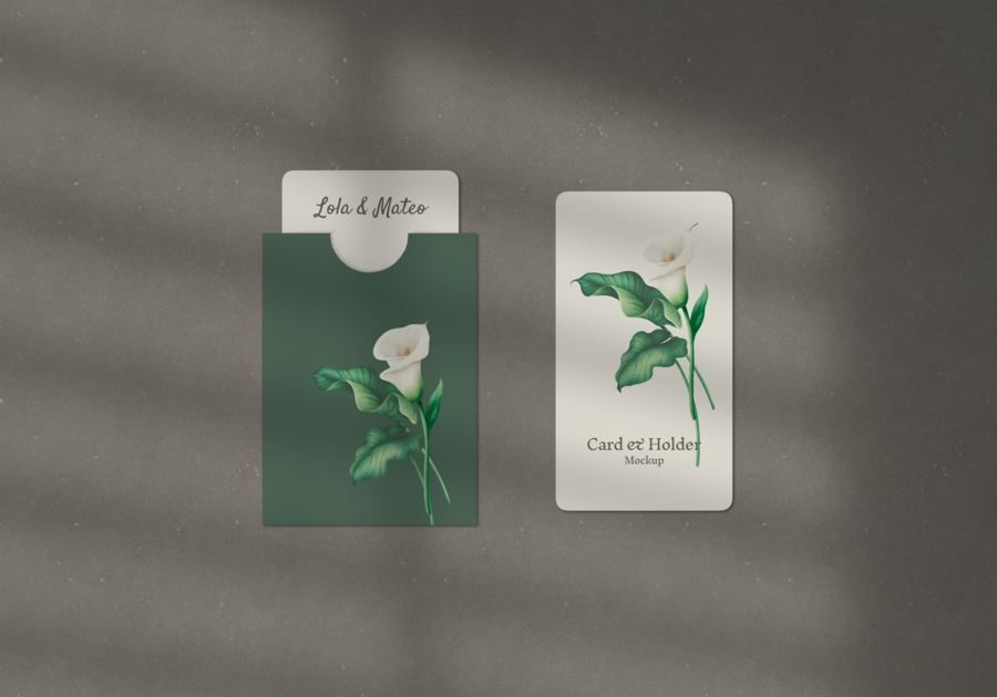 Estuche para accesorios de tarjetas 85x54mm