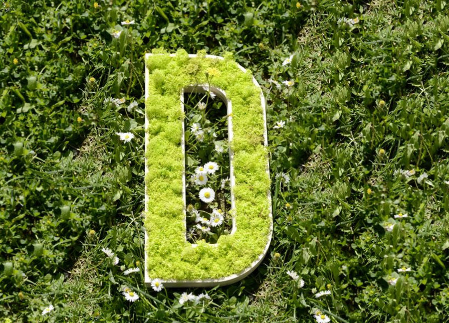 Lettre_et_logo_bois_avec_vegetal_naturel_-_18mm