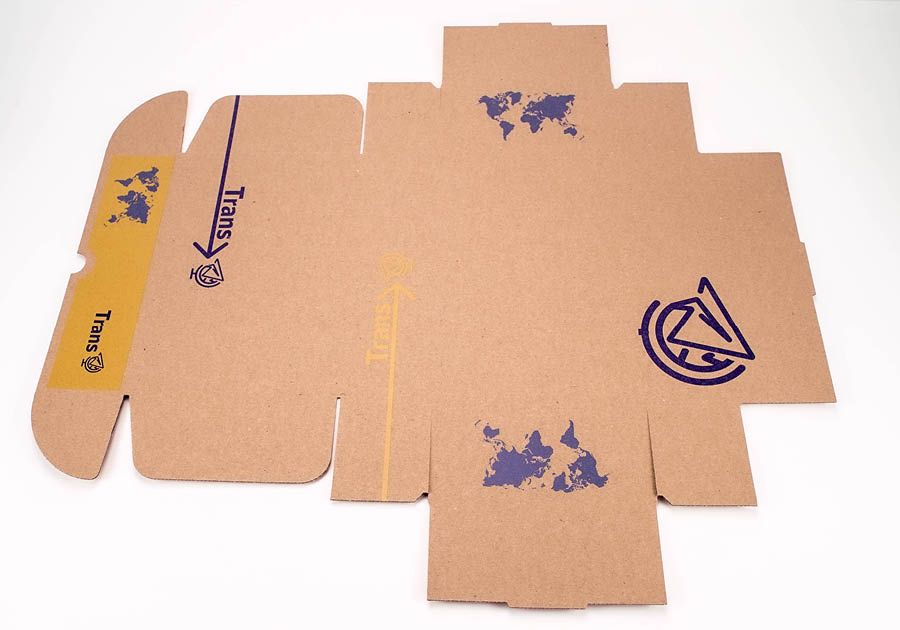 Plantilla de caja de envío con solapa desplegada