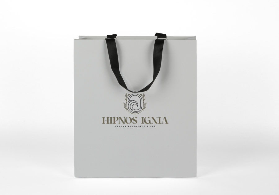 Sac en papier premium - sac vertical - petite zone d'impression 