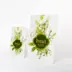 Présentoir de comptoir impression directe 1100g carton compact blanc