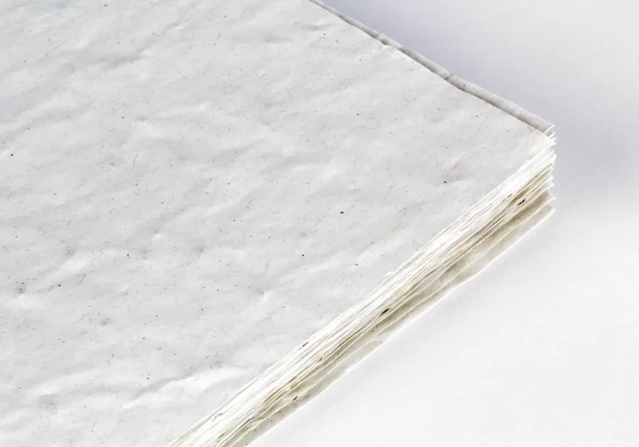 Carte Tarjeta postale papier recyclé 100g papier ensemencé aux herbes aromatiques