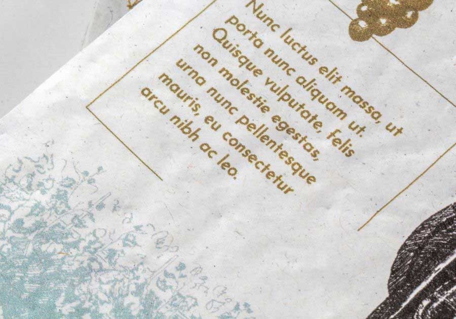 Detalle de la textura del 250g papel con semillas de alhabaca