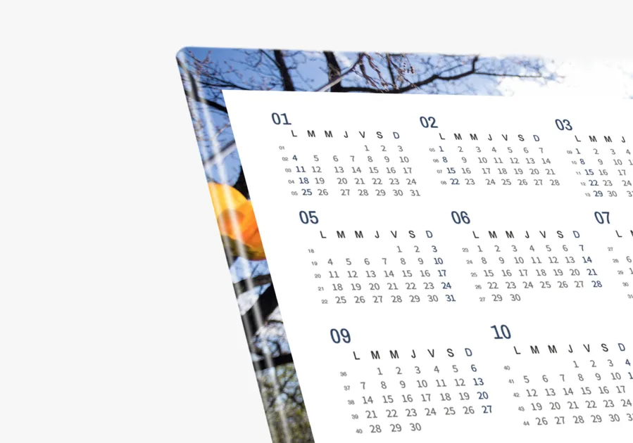 Calendrier contrecolle 297 x 210 mm