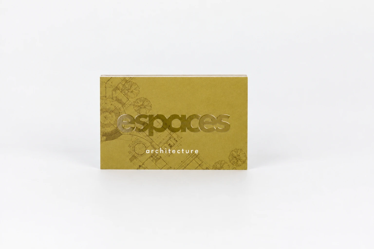 Cdv-Espaces -Vernis2D-face
