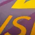 Drapeau de supporter 117g tissu ignifuge m1