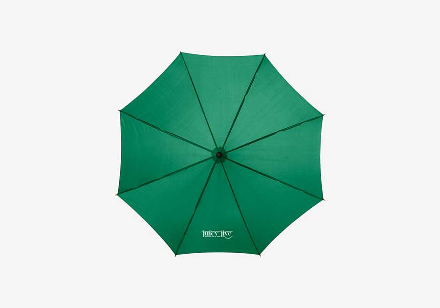 Parapluie ouverture automatique avec manche et poignée en bois Kyle 23" vert 