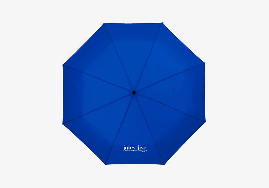 Parapluie-pliant-automatique-21-Wali-bleu-royal