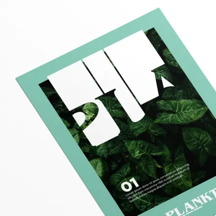 Flyer papel clásico Flyer papel clásico