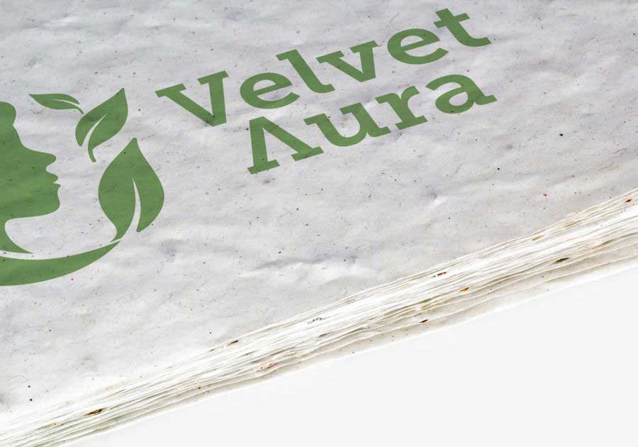 Éventail Zoom 250g papier ensemencé avec fleurs sauvages