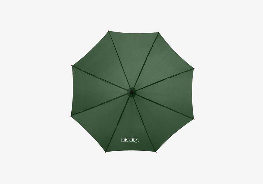 Parapluie ouverture automatique avec manche et poignée en bois Kyle 23" vert fore?t