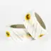Ruban adhesif impression 2 couleurs en PVC blanc