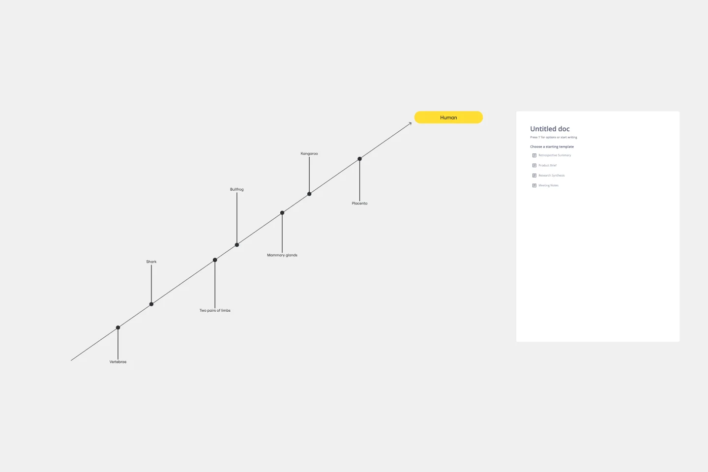 CLADOGRAM-web-1