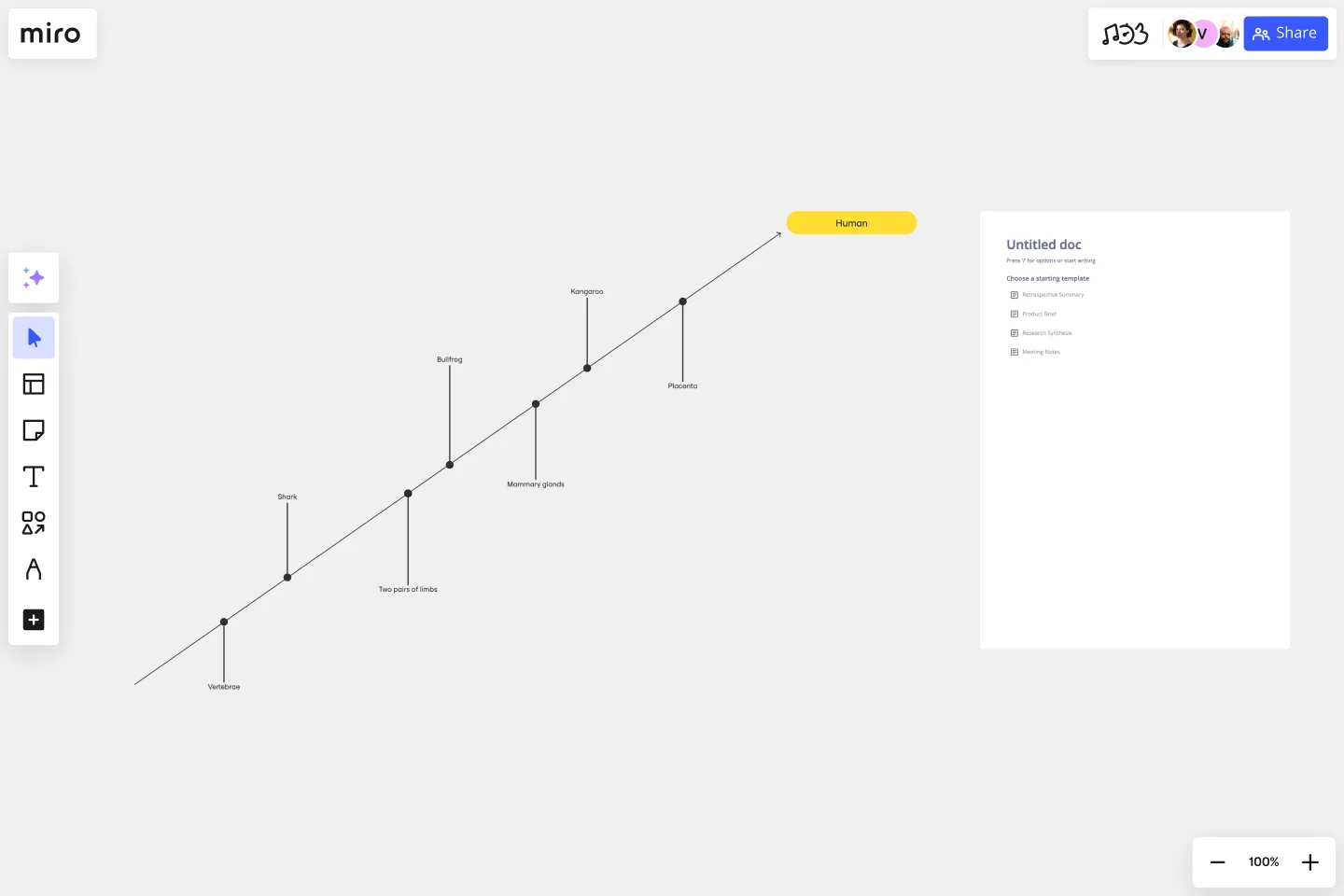 Cladogram Template Miro Cladogram Template Miro